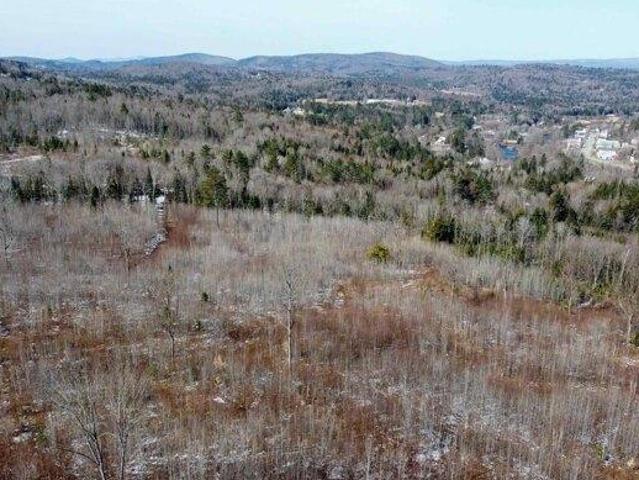 Land for sale in Concord, Vermont