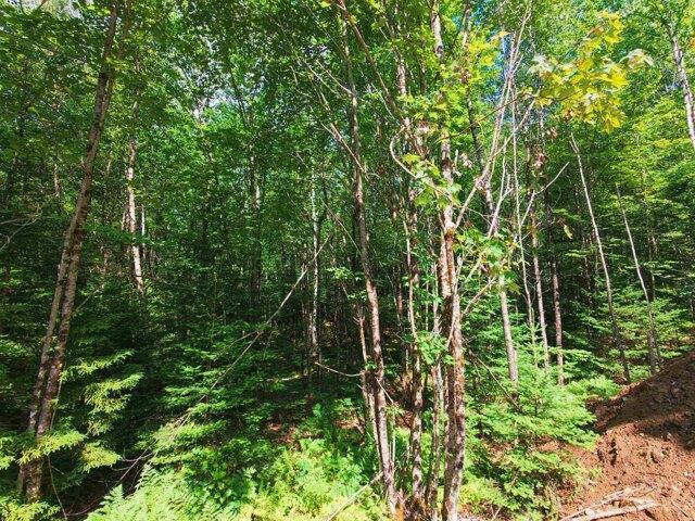 Land for sale in Concord Corner, Concord
