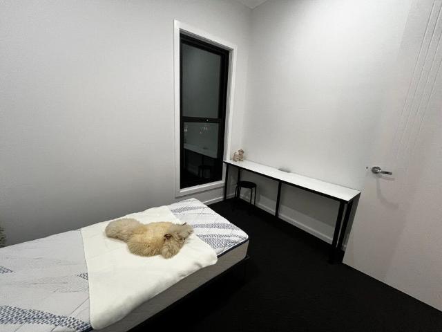 Room for rent in Sydney, New South Wales