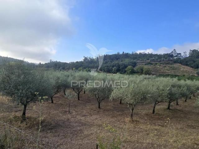 Terreno venda em Condeixa-a-nova, Coimbra
