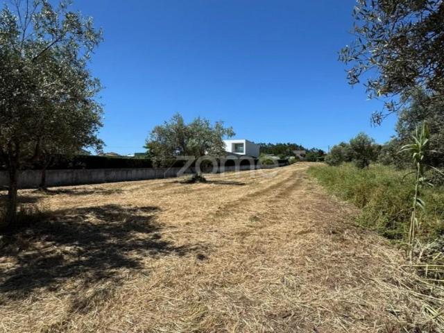 Terreno venda em Condeixa-a-nova, Coimbra