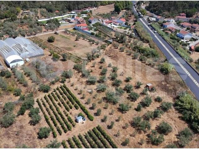 Terreno venda em Condeixa-a-nova, Coimbra