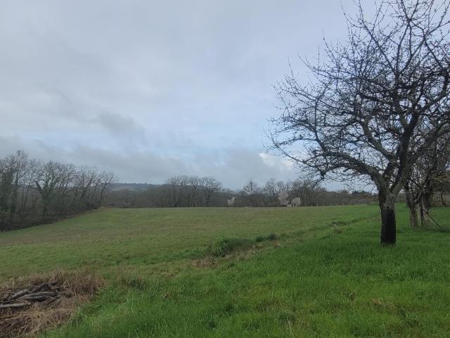 Terrain vente à Villeneuve-sur-Lot, Condezaygues