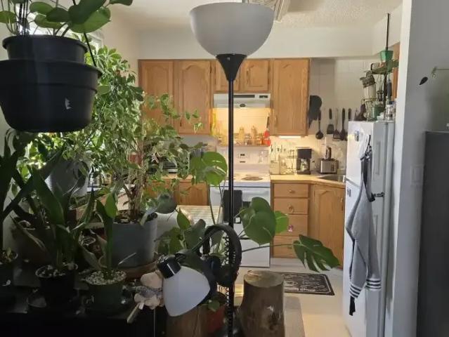 Condo for rent in Northwest, Alberta