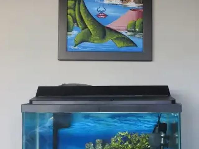 Condo for rent in Northwest, Alberta