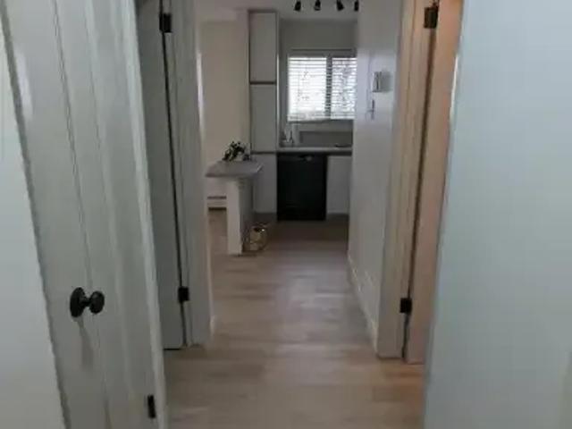 Condo for rent in Upper Mount Royal, Calgary