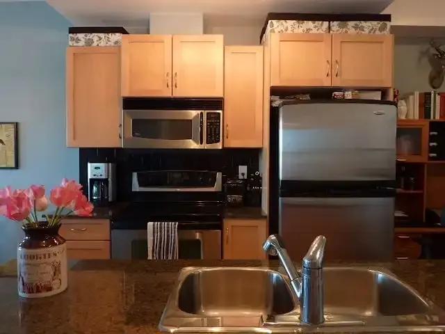 Condo for rent in Lake Bonavista, Calgary