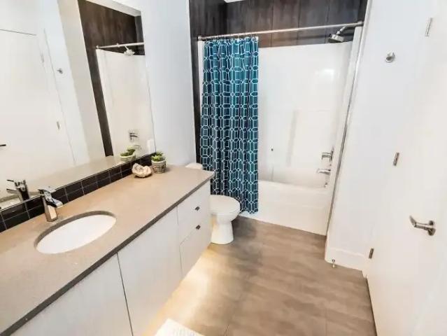 Condo for rent in Strathcona, Edmonton