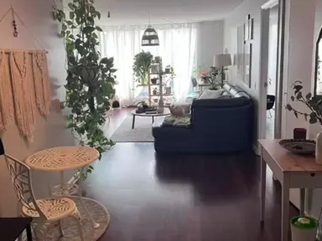 Condo for rent in Strathcona, Edmonton