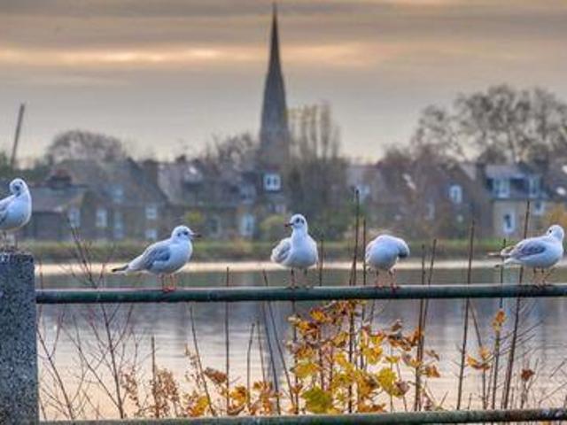 Apartment for sale in Finsbury Park, Finsbury Park