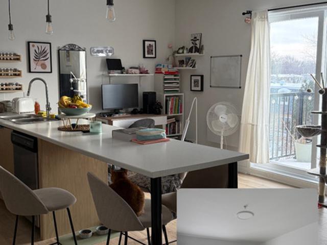 Apartment for rent in Longueuil, Quebec