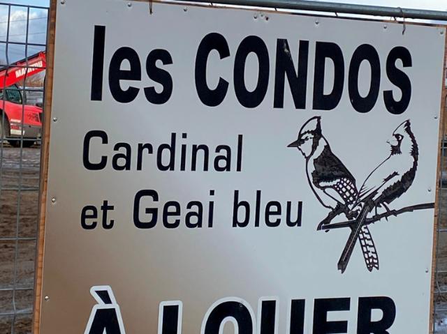 Apartment for rent in Terrebonne