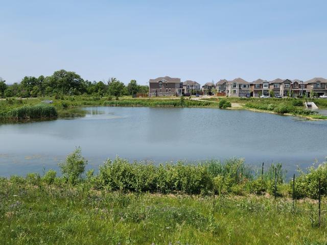 Apartment for rent in Milton, Ontario