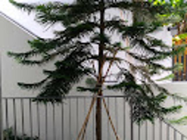 Apartment for rent in Serangoon, 12 Central, Toa Payoh