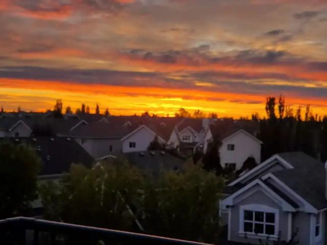 Condo for rent in Summerside, Edmonton