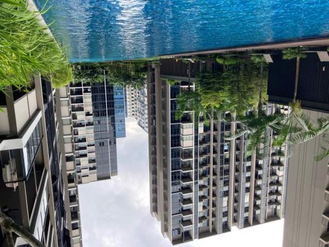 Apartment for rent in 19 North East, Hougang