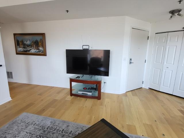 Condo for sale in Willow Springs, Illinois