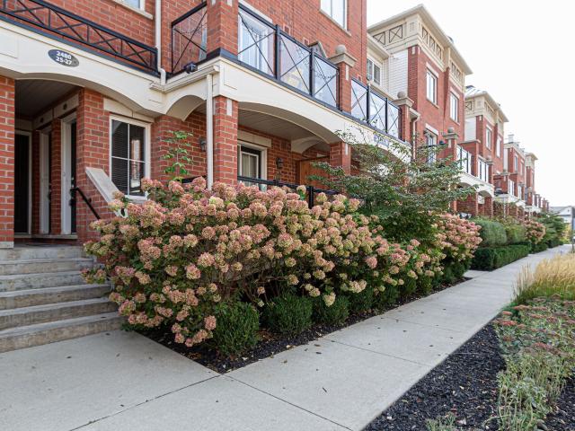 Apartment for rent in Oakville, Ontario