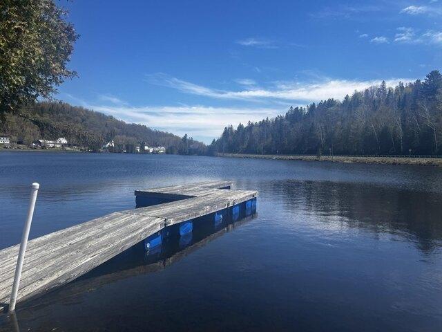Condo for sale in Danville, Vermont