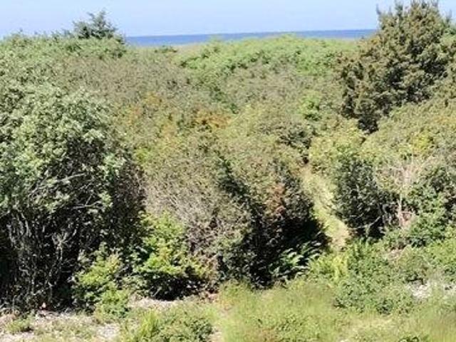 Condo for sale in Ocean Shores