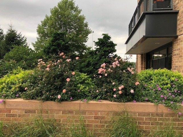 Condo for sale in Boston, Massachusetts