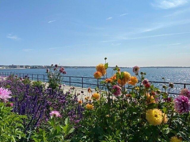Condo for sale in Gloucester, Massachusetts