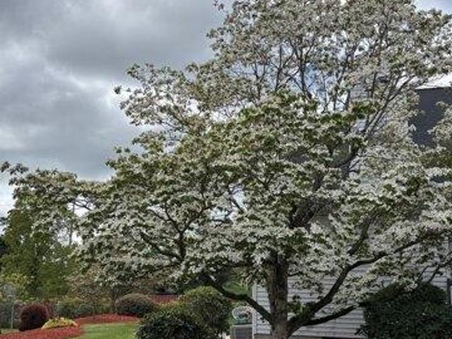 Condo for sale in Manchester, Connecticut