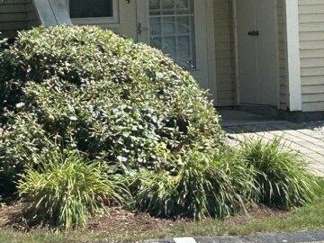 Condo for sale in Northbridge, Massachusetts