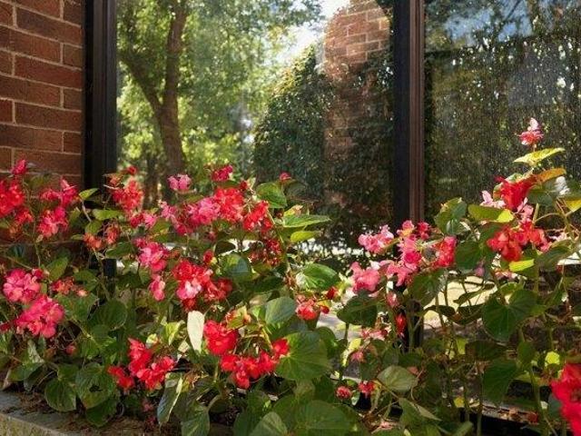 Condo for sale in Peabody, Essex County