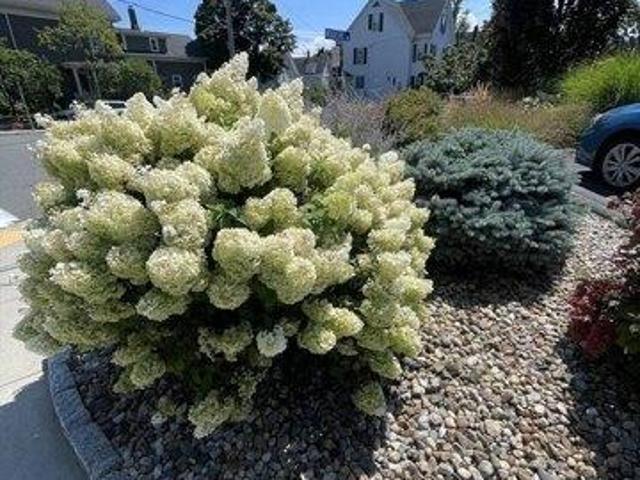 Condo for sale in Winthrop, Massachusetts