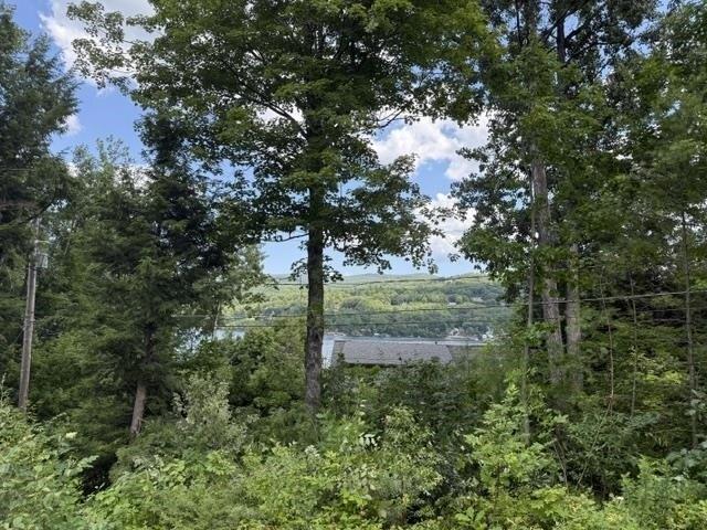 Condo for sale in New Hampshire