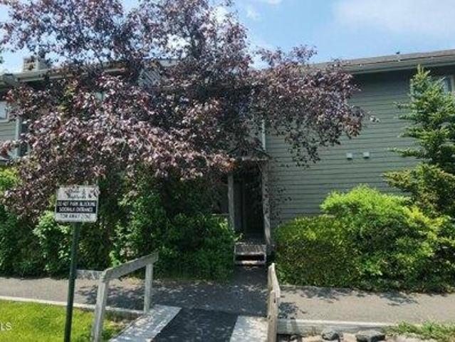 Condo for sale in Village of Hunter, East Jewett