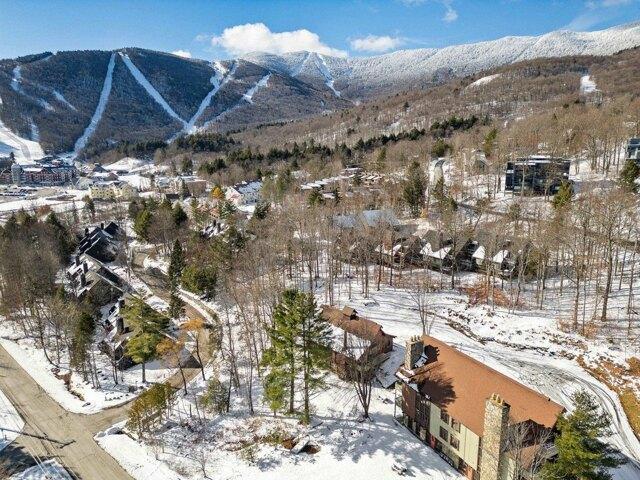 Condo for sale in Warren, Vermont