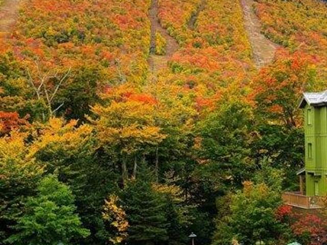 Condo for sale in Stowe, Vermont