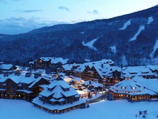 Condo for sale in Stowe, Lamoille County