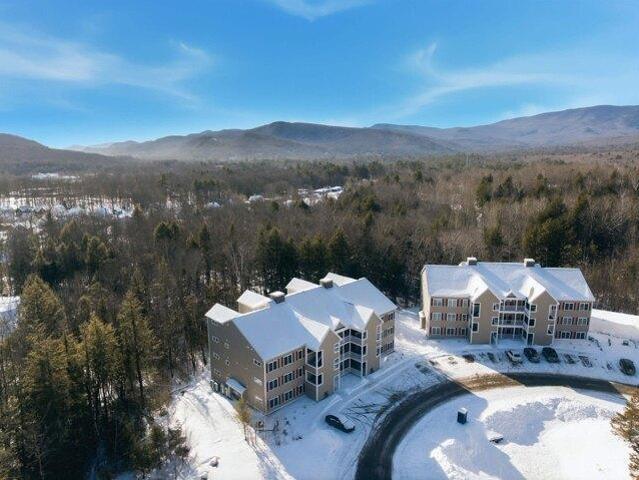 Condo for sale in New Hampshire