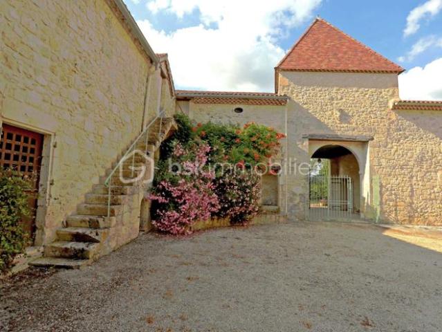 Château vente à Condom
