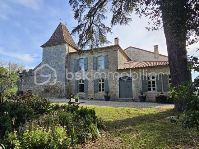 Château vente à Condom