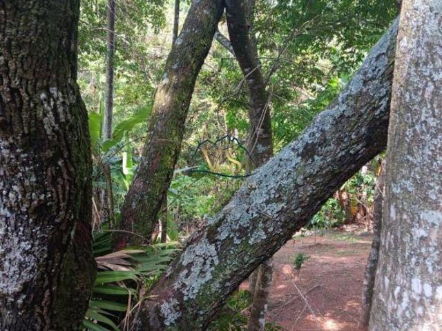 Terreno venda em Região Geográfica Imediata de Belo Horizonte, Região Metropolitana de Belo Horizonte