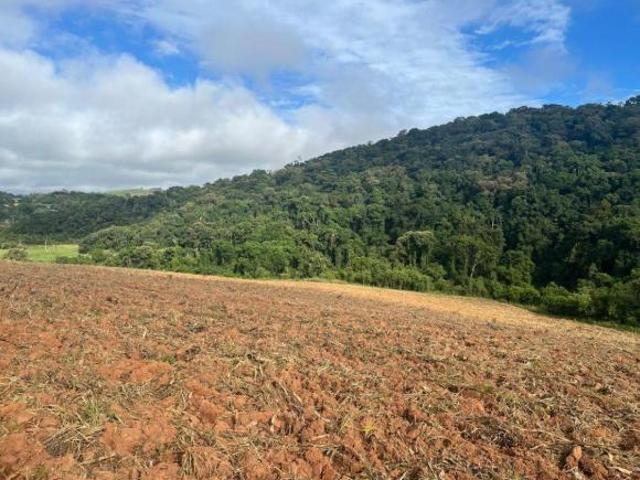 Terreno venda em Região Imediata de Sorocaba, Região Metropolitana de Sorocaba