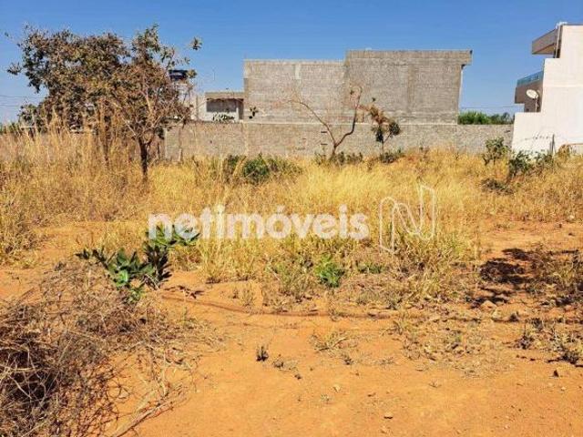 Terreno venda em Região Geográfica Imediata do Distrito Federal, Região Integrada de Desenvolvimento do Distrito Federal e Entorno