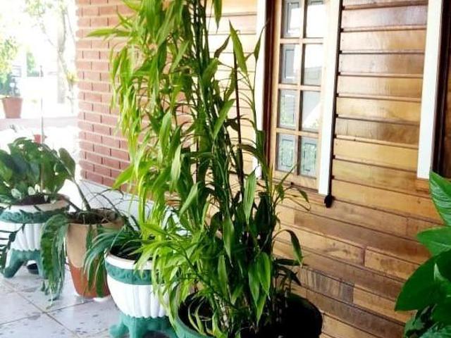 Casa venda em Região Imediata de Sorocaba, Região Metropolitana de Sorocaba