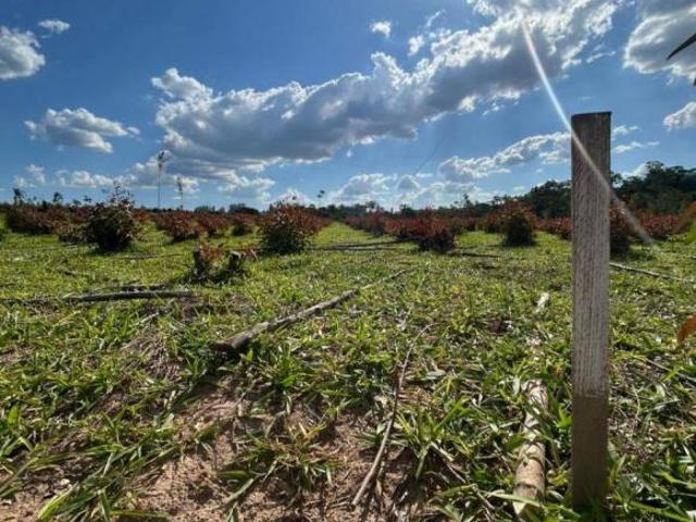 Terreno venda em Região Imediata de Sorocaba, Região Metropolitana de Sorocaba