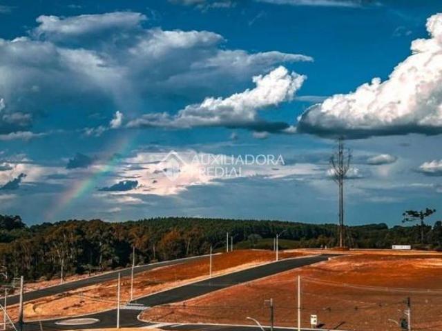 Terreno venda em Região Geográfica Imediata de Bento Gonçalves, Vila Flores