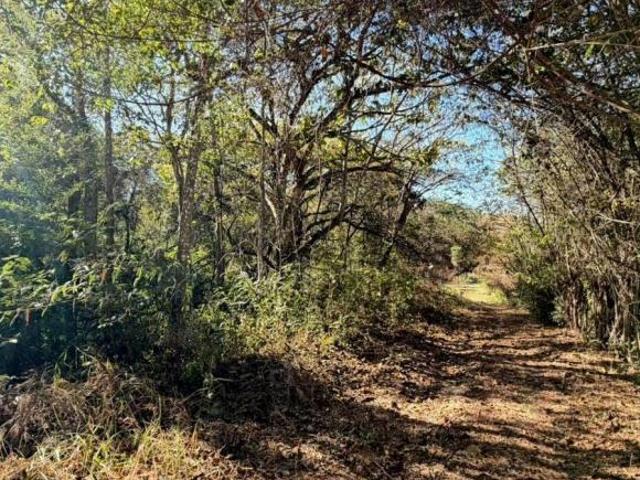 Terreno venda em Ipê Amarelo, Esmeraldas
