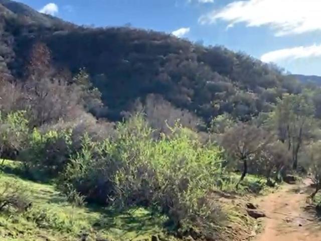 Casa en venta en El Paico Alto, El Monte