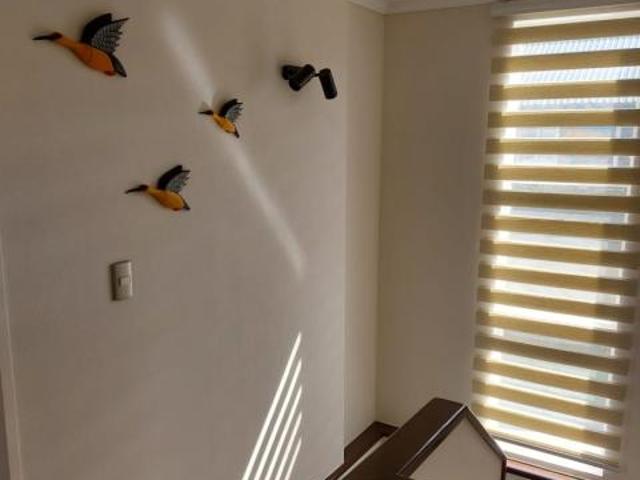 Condominio Los Robles II/camino Internacional, Pucón