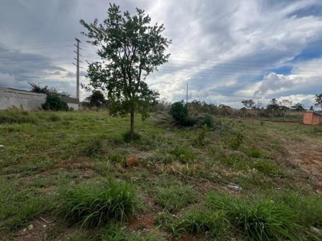 Terreno venda em Brasília, Plano Piloto