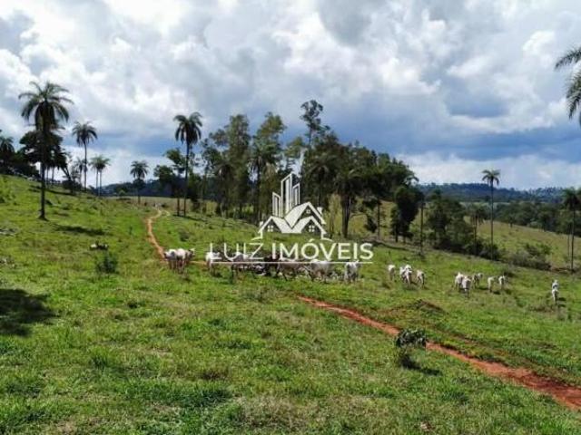 Sítio e chácara venda em Região Geográfica Imediata de Patos de Minas, São Gotardo
