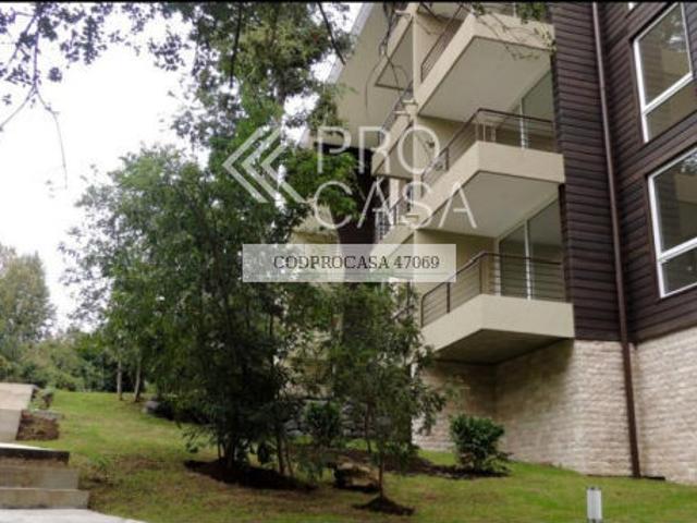 Condominio Parque Paillahue/Condominio Parque Paillahue, Pucón